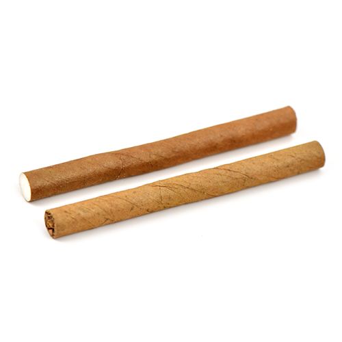 Candlelight Filter - White (Coconut)